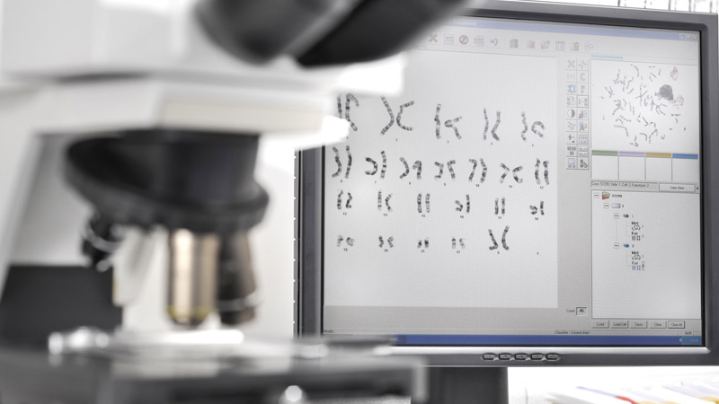 La importancia del Cariotipo